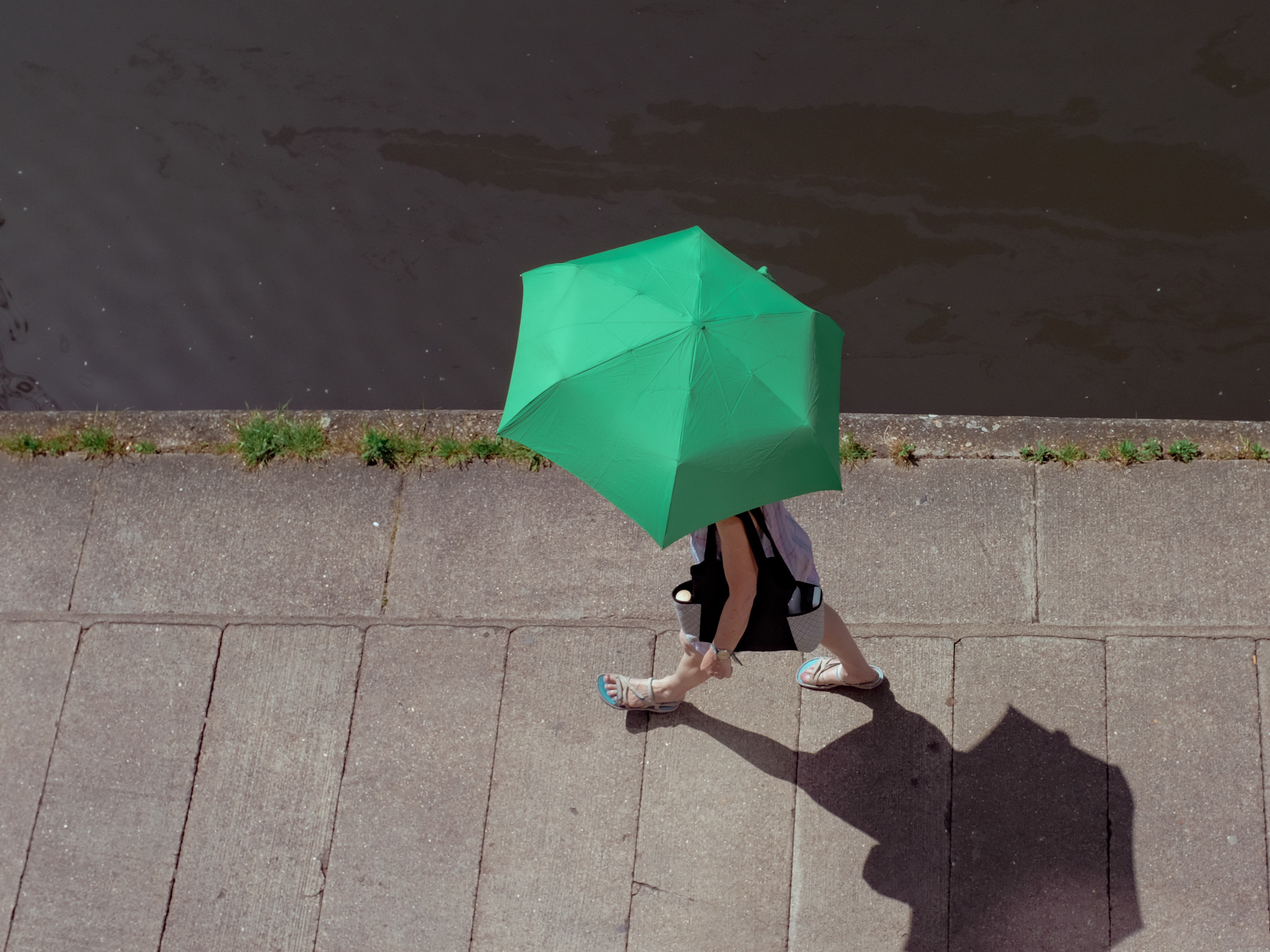 Where is my umbrella she. Зонтик на асфальте. Тень от зонта. Зеленый зонтик. Зонтик тень.
